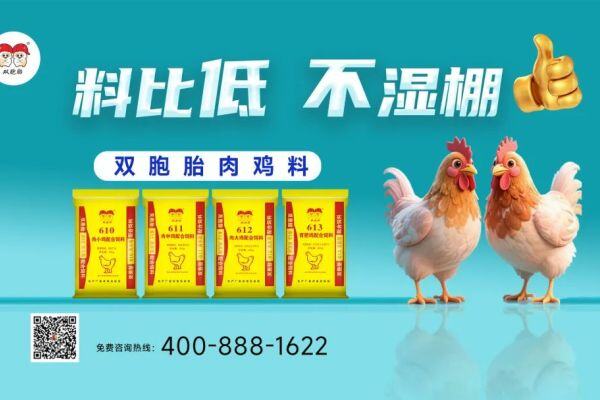 警惕腹泻“隐形亏损”！双胞胎以优质禽料筑牢“成本防线”，实现料比再降0.1