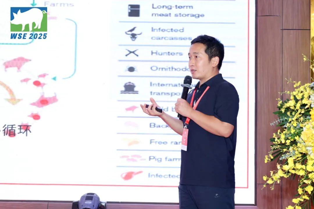 技术“出海” 产业协同 破局共赢 | 2025中国-越南猪业创新论坛在越南河内圆满举办！