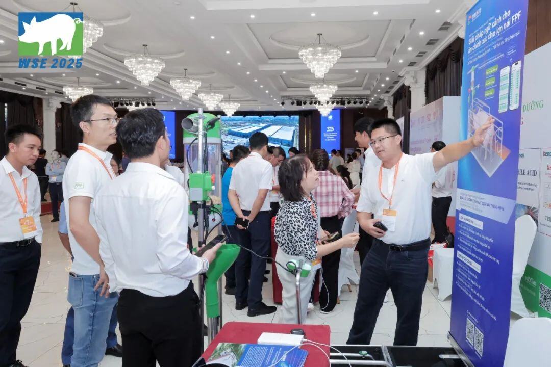 技术“出海” 产业协同 破局共赢 | 2025中国-越南猪业创新论坛在越南河内圆满举办！