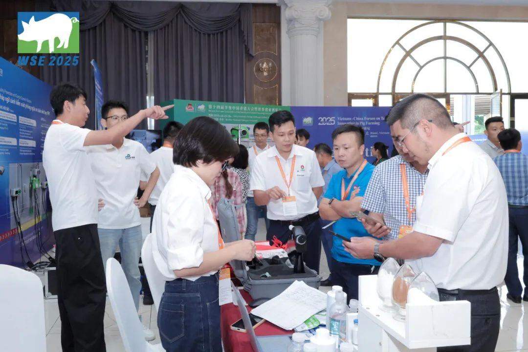 技术“出海” 产业协同 破局共赢 | 2025中国-越南猪业创新论坛在越南河内圆满举办！