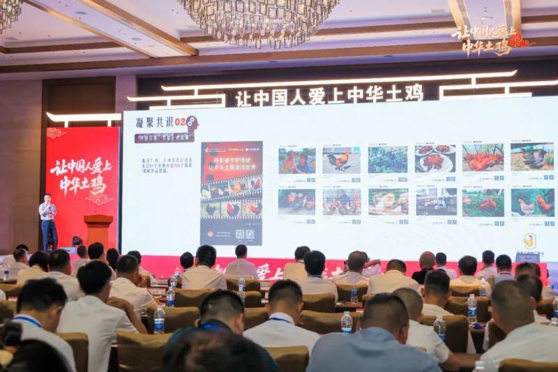 让中国人爱上中华土鸡！“中华土鸡产业基地”隆重揭牌