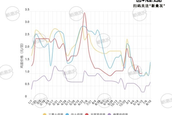 8月11日 广东、川渝、浙江、江西、两湖等地区鸡价上涨