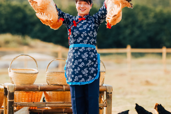 寻找“最美中华土鸡”丨李雪柏（组图）