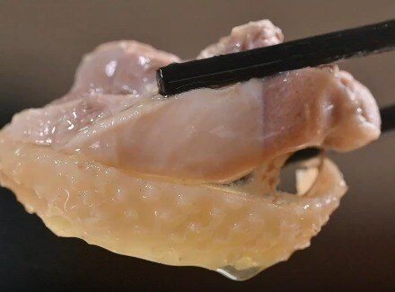 尋找“最美中華土雞”丨巖山雞-清水煮雞 英德瑞農牧業