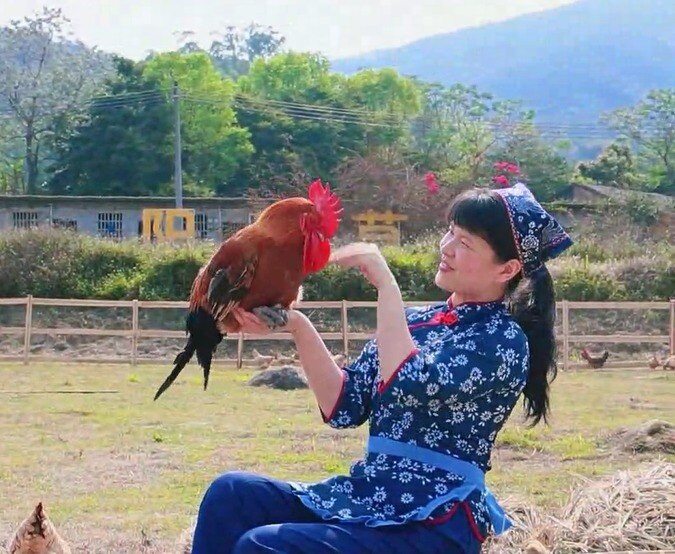 尋找“最美中華土雞”丨李雪柏 中華土雞視頻