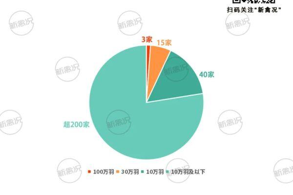 300万羽蛋鸡基地落地河南，乘乘集团合作养户规模超5000万羽