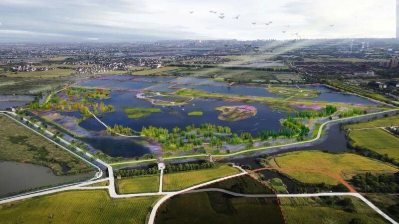 湘佳黑鸡、益生817、广弘3号、又新麻鸡等新配套系获批；上半年上市禽企营收分化，最高同增131%【禽听要闻】