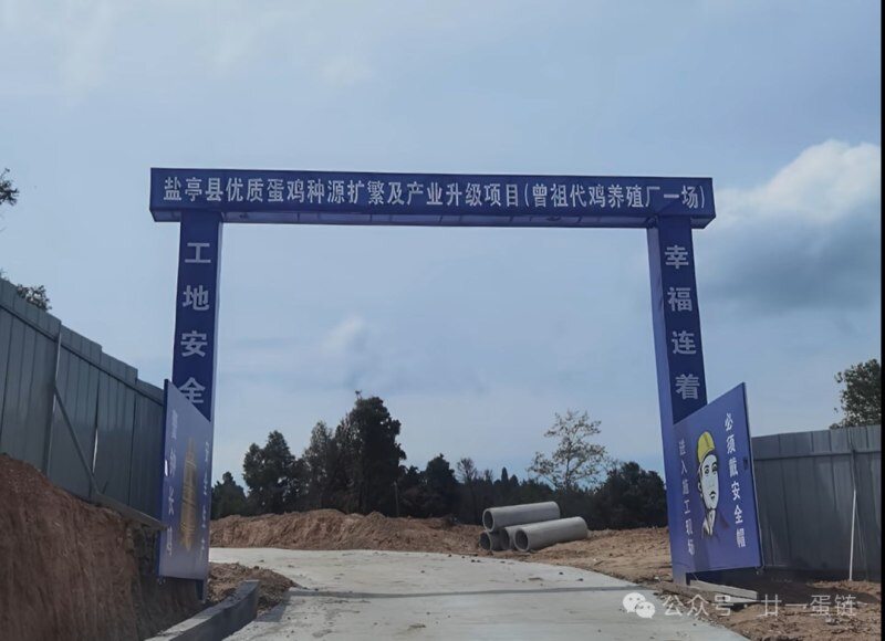 湘佳黑鸡、益生817、广弘3号、又新麻鸡等新配套系获批；上半年上市禽企营收分化，最高同增131%【禽听要闻】