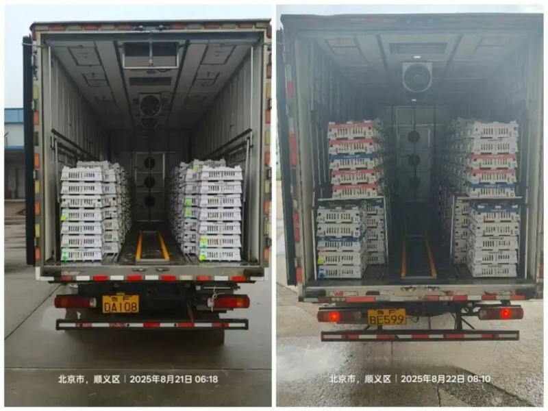 湘佳黑鸡、益生817、广弘3号、又新麻鸡等新配套系获批；上半年上市禽企营收分化，最高同增131%【禽听要闻】