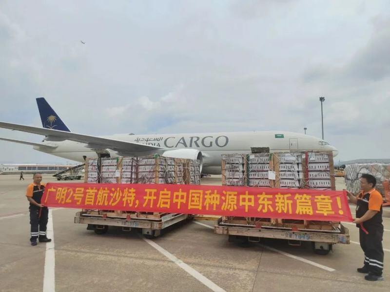 湘佳黑鸡、益生817、广弘3号、又新麻鸡等新配套系获批；上半年上市禽企营收分化，最高同增131%【禽听要闻】