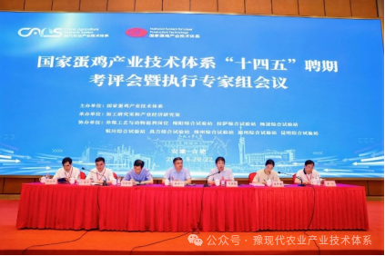 湘佳黑鸡、益生817、广弘3号、又新麻鸡等新配套系获批；上半年上市禽企营收分化，最高同增131%【禽听要闻】