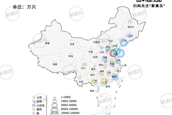 全国家禽产能图鉴：家禽年出栏量超200亿只！产区集中华东、华南，山东独占1/5