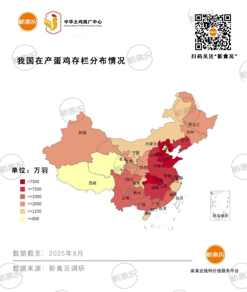 全国家禽产能图鉴：家禽年出栏量超200亿只！产区集中华东、华南，山东独占1/5
