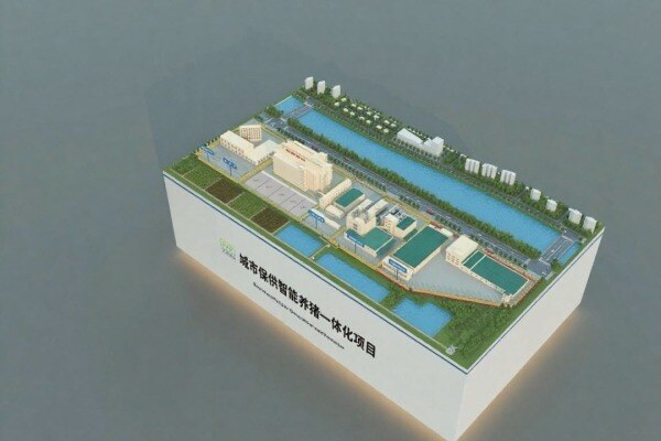 智能养猪的“中国答案”，与您相约韩国大邱面对面揭晓！