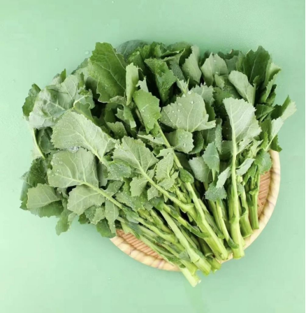 扬翔食品2025秋季新品发布会：一颗“板蓝根青菜水饺”撕开千亿食养市场