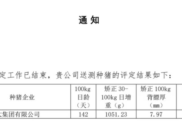效率惊人！加大种猪正式进入料肉比2.0时代，日增重1025克