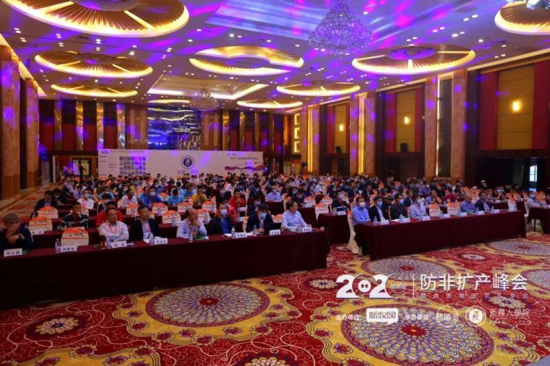 警惕！非瘟突现重大转变，疫病风险挑战加剧 | 2025新猪派峰会聚焦防控策略与技术创新