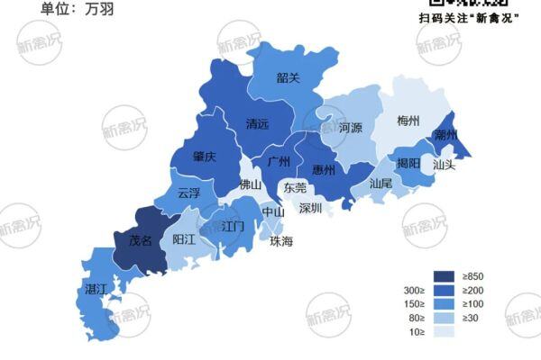 广东蛋鸡存栏五年激增47.3%达2945万羽，CR10超50%
