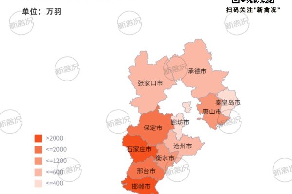 领跑全国！河北蛋鸡1.68亿羽，60%鲜蛋外销京津、珠三角，产业优化筑牢“中国蛋仓”地位