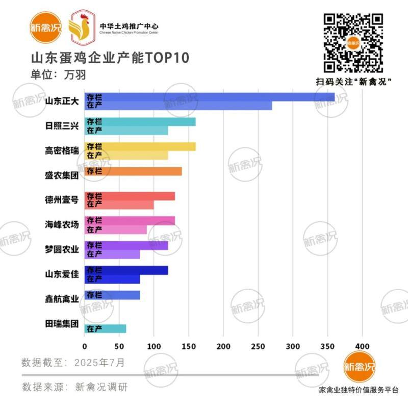 山东蛋鸡存栏1.35亿羽，菏泽4千万羽领衔，百万吨鸡蛋靠外销