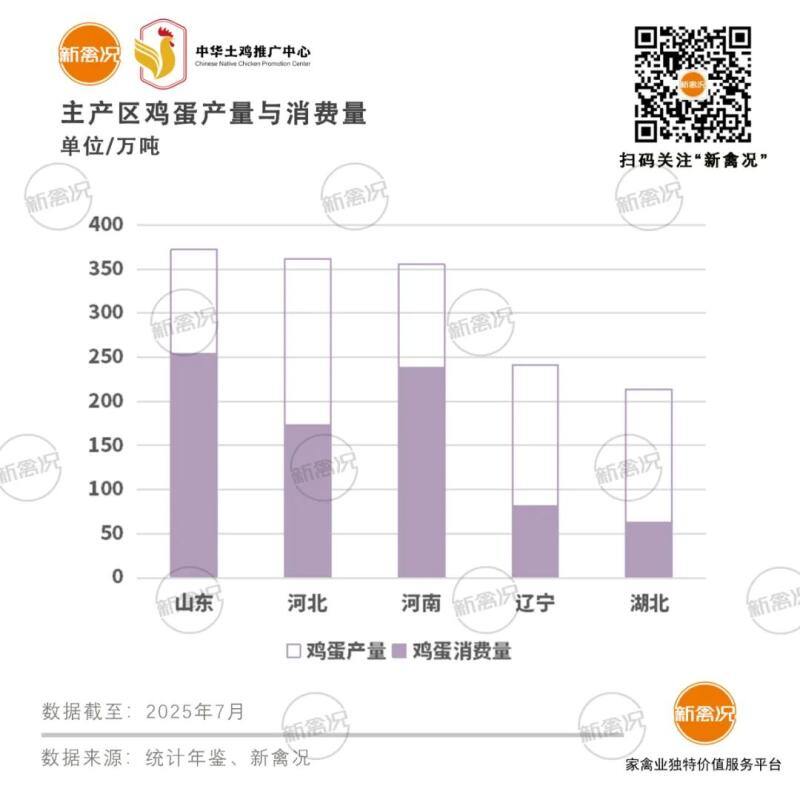 山东蛋鸡存栏1.35亿羽，菏泽4千万羽领衔，百万吨鸡蛋靠外销