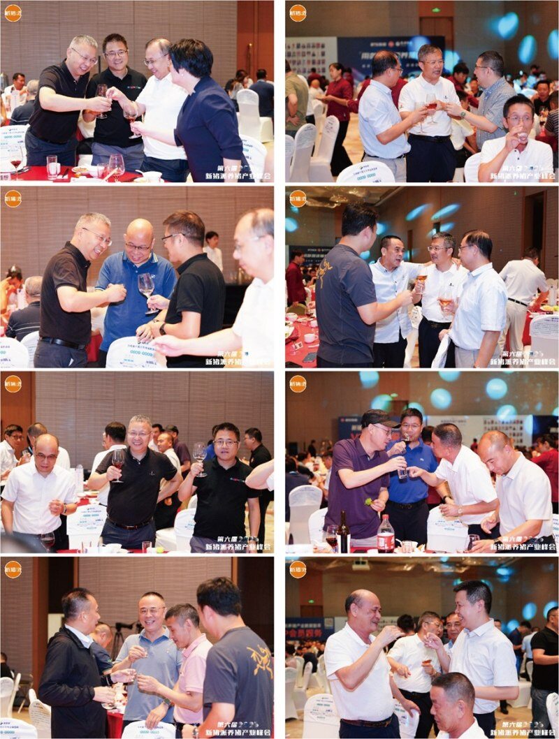 群贤毕至,共话猪业——“海大之夜”新猪派养猪产业峰会答谢晚宴| 2025新猪派养猪产业峰会