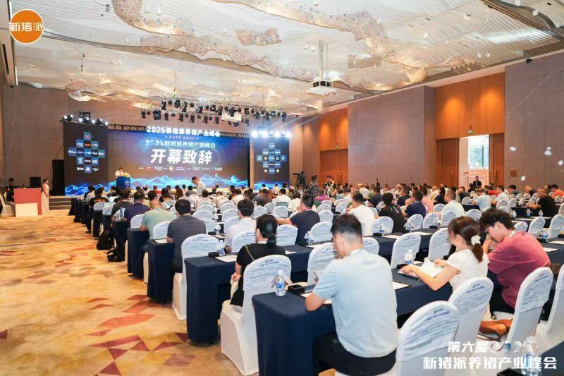 高效批次化生产新方案,伟杰信助力规模猪场猪效、人效提升| 2025新猪派养猪产业峰会