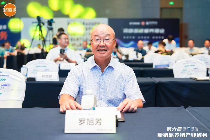 高效批次化生产新方案，伟杰信助力规模猪场猪效、人效提升| 2025新猪派养猪产业峰会