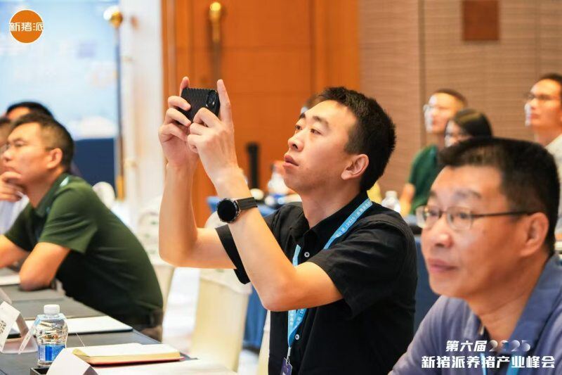 高效批次化生产新方案，伟杰信助力规模猪场猪效、人效提升| 2025新猪派养猪产业峰会