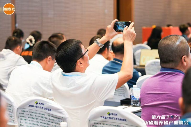 高效批次化生产新方案，伟杰信助力规模猪场猪效、人效提升| 2025新猪派养猪产业峰会