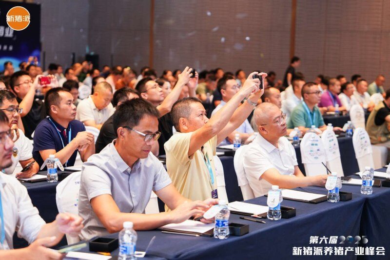 头均价差107元！构建商品猪屠宰分级定价机制，打破信息屏障、回溯真实价值 | 2025新猪派养猪产业峰会