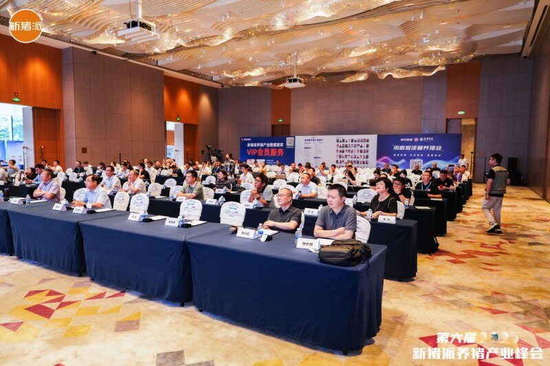 头均价差107元！构建商品猪屠宰分级定价机制，打破信息屏障、回溯真实价值 | 2025新猪派养猪产业峰会