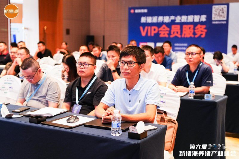 头均价差107元！构建商品猪屠宰分级定价机制，打破信息屏障、回溯真实价值 | 2025新猪派养猪产业峰会