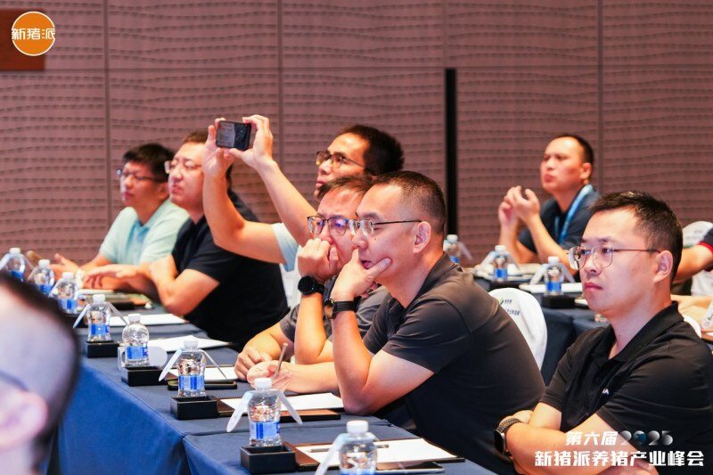 头均价差107元！构建商品猪屠宰分级定价机制，打破信息屏障、回溯真实价值 | 2025新猪派养猪产业峰会