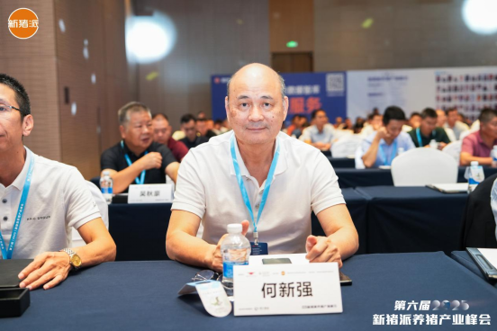 精细化管理，从源头管控后备母猪，奠定高繁基础丨2025新猪派峰会