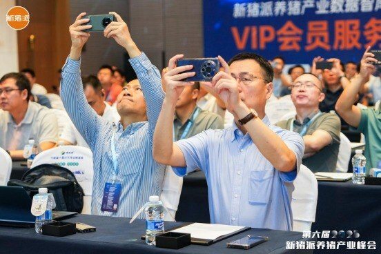 精细化管理，从源头管控后备母猪，奠定高繁基础丨2025新猪派峰会