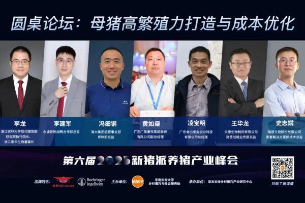 繁殖增效，成本再降！广垦、扬翔、天康、永诚齐聚2025新猪派峰会，共话母猪高繁殖力打造与成本优化