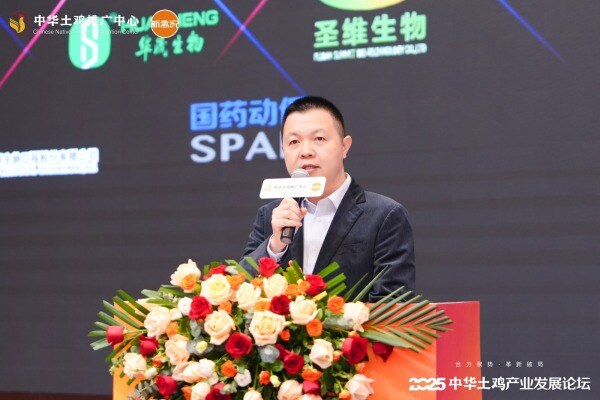 钟怡群：“四度”法则初见成效，将持续携手行业夯实中华土鸡品牌基础|2025中华土鸡产业发展论坛