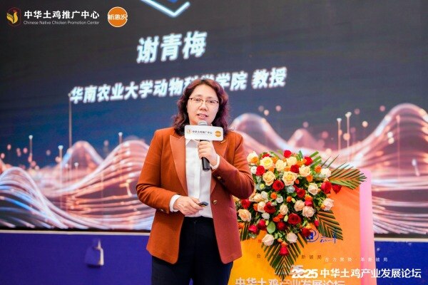 谢青梅：精准防控土鸡三大疫病，建议匹配毒株疫苗与强化种源净化|2025中华土鸡产业发展论坛
