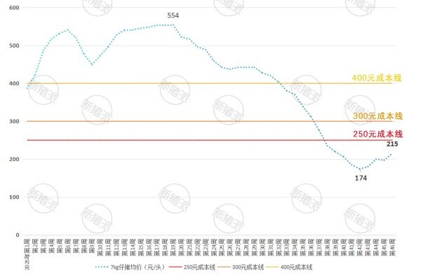 2025年第46周全国7KG仔猪价格走势图