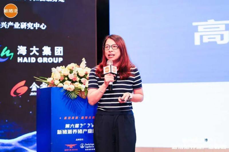 温氏、海大、中粮、广垦、广食出等养猪产业链头部大咖齐聚，控成本、提效率，赢领未来| 2025新猪派峰会