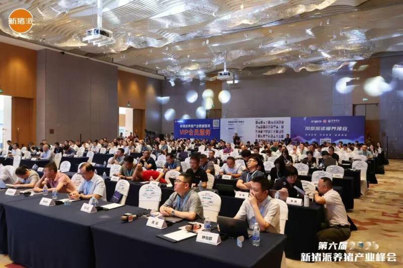 温氏、海大、中粮、广垦、广食出等养猪产业链头部大咖齐聚，控成本、提效率，赢领未来| 2025新猪派峰会