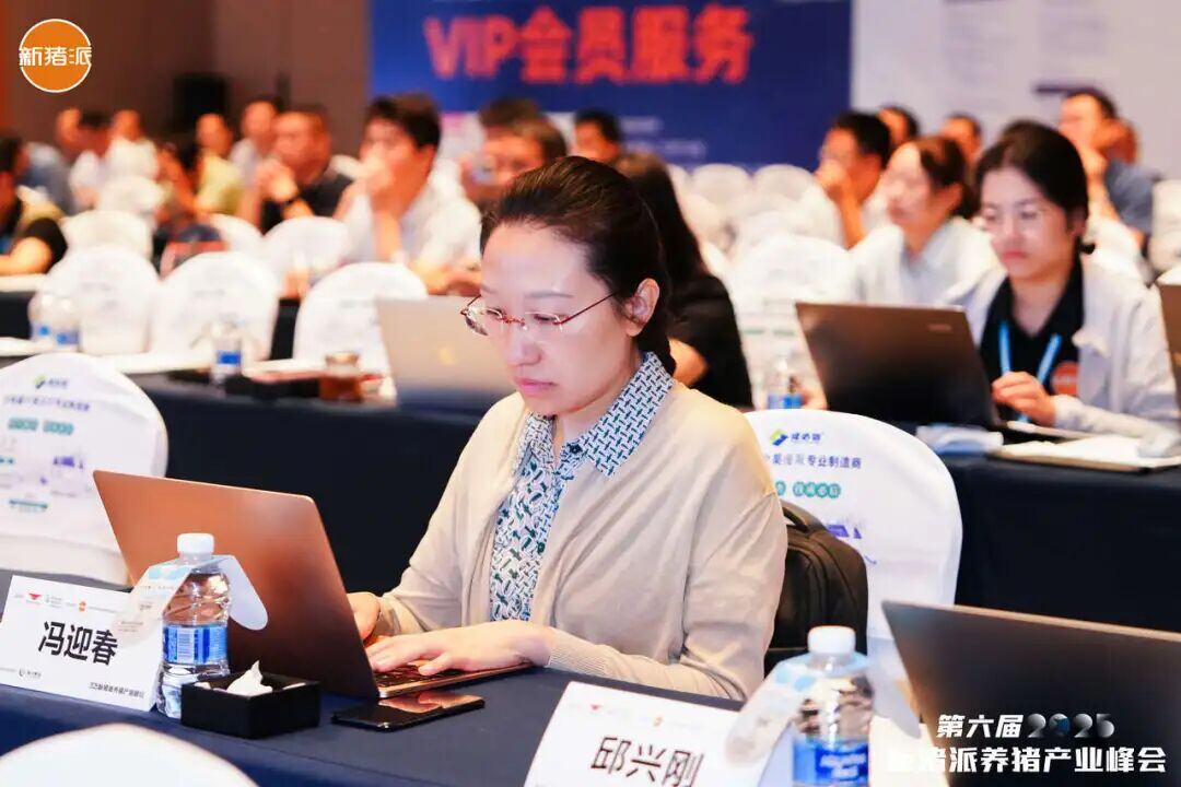 百家猪企共商高效高质发展之道，实现养猪“赚辛苦钱”到“赚品质钱” | 2025新猪派峰会