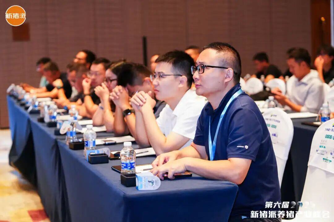 百家猪企共商高效高质发展之道，实现养猪“赚辛苦钱”到“赚品质钱” | 2025新猪派峰会