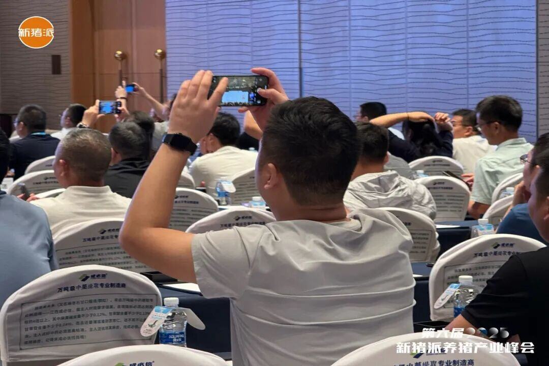 百家猪企共商高效高质发展之道，实现养猪“赚辛苦钱”到“赚品质钱” | 2025新猪派峰会