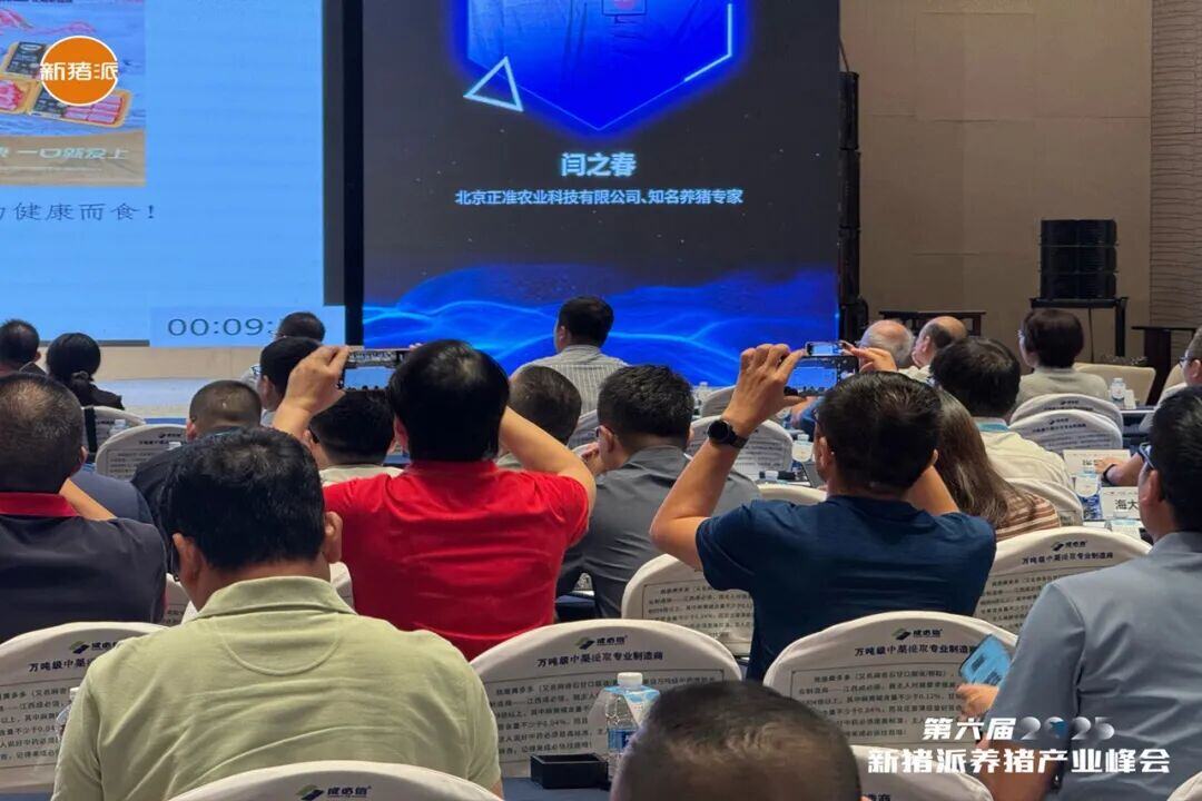 百家猪企共商高效高质发展之道，实现养猪“赚辛苦钱”到“赚品质钱” | 2025新猪派峰会
