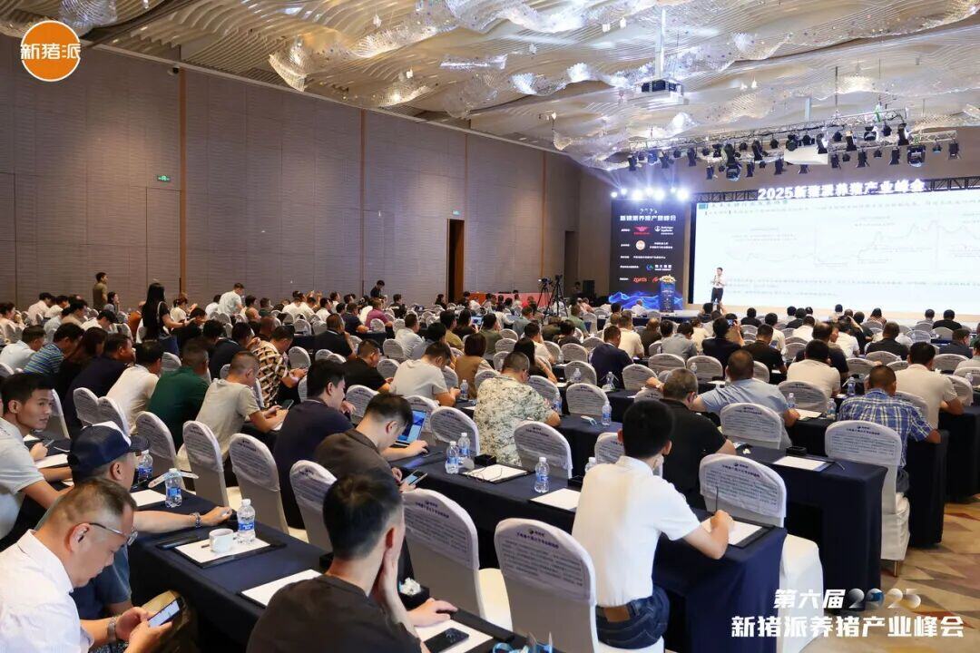 百家猪企共商高效高质发展之道，实现养猪“赚辛苦钱”到“赚品质钱” | 2025新猪派峰会