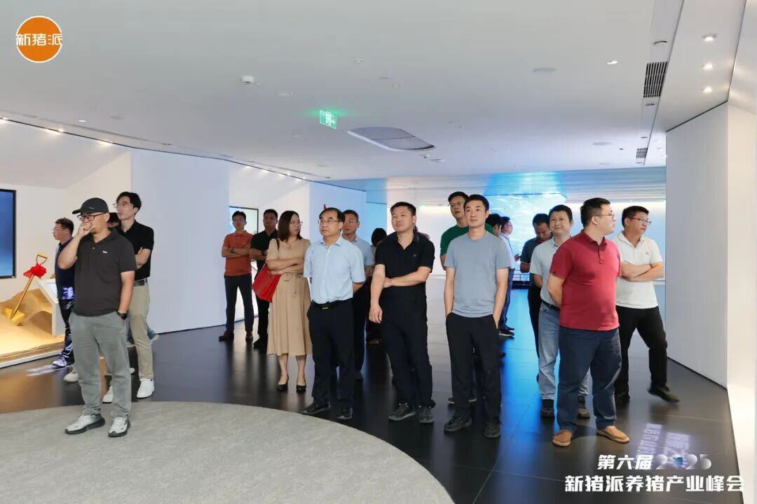 百家猪企共商高效高质发展之道，实现养猪“赚辛苦钱”到“赚品质钱” | 2025新猪派峰会