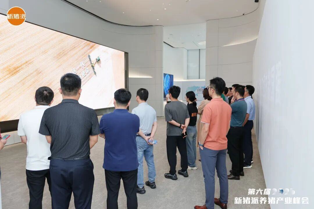 百家猪企共商高效高质发展之道，实现养猪“赚辛苦钱”到“赚品质钱” | 2025新猪派峰会