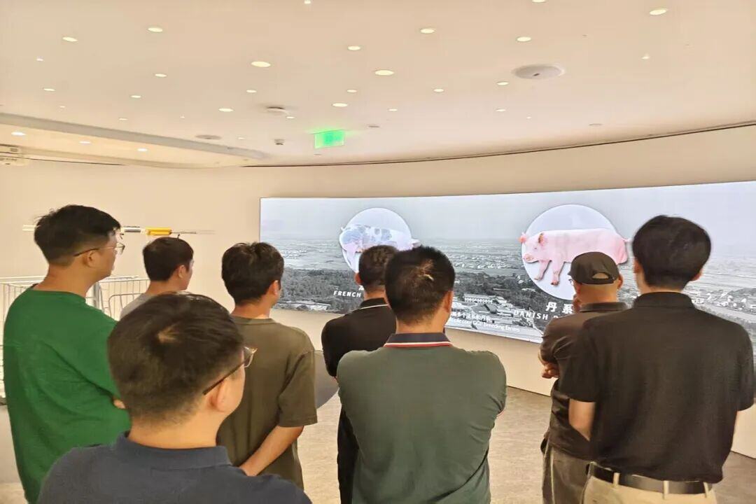 百家猪企共商高效高质发展之道，实现养猪“赚辛苦钱”到“赚品质钱” | 2025新猪派峰会